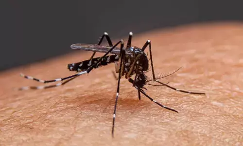 बारिश के साथ आते हैं खतरनाक मच्छर जिनसे होता है डेंगू जैसी बिमारी का खतरा, कैसे करें इसकी पहचान बारिश के साथ आते हैं खतरनाक मच्छर जिनसे होता है डेंगू जैसी बिमारी का खतरा, कैसे करें इसकी पहचान