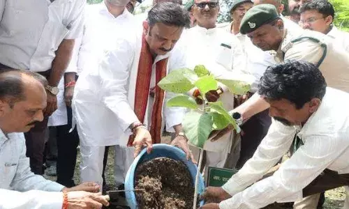 “एक पेड़ माँ के नाम” अभियान पर्यावरण संरक्षण की दिशा में बड़ा कदम: उप-मुख्यमंत्री  शुक्ल
