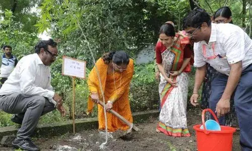 हर व्यक्ति पौधा लगाए और पेड़ बनने तक करें देखभाल : महिला बाल विकास मंत्री  भूरिया