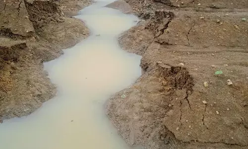 चंद्रपुर के आसपास के खेतों में घुसा गोसीखुर्द नहर का पानी, किसानों का भारी नुकसान