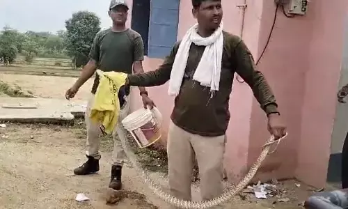 क्लासरूम में टीचर जगह सांप को देख बच्चों की कांपी रूह, इलाके में फैली दहश्त, जानें कहा की है घटना क्लासरूम में टीचर जगह सांप को देख बच्चों की कांपी रूह, इलाके में फैली दहश्त, जानें कहा की है घटना