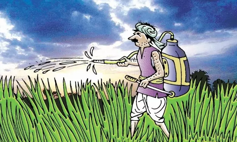 किसानों को दी जाए 10 घंटे बिजली किसानों को दी जाए 10 घंटे बिजली