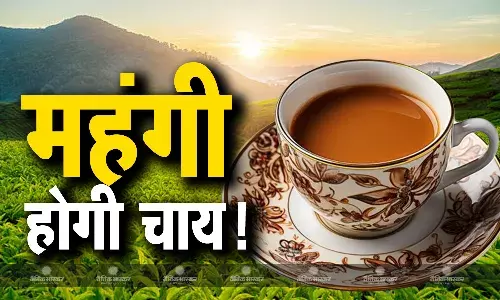 आपकी चाय पर पड़ी मौसम की मार, बाढ़ की वजह से चाय की कीमत में आया उफान, इन टी स्टेट का बुरा हाल