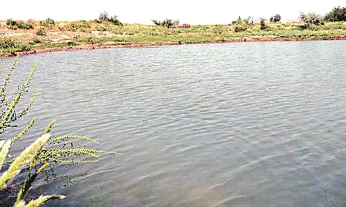 तालाबों की सुरक्षा में तैनात फायर कर्मचारी , आपदा प्रबंधन में परेशानी