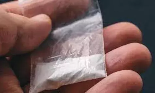 एमडी तस्कर को पुलिस ने माल सहित किया गिरफ्तार, अन्य एक आरोपी फरार एमडी तस्कर को पुलिस ने माल सहित किया गिरफ्तार, अन्य एक आरोपी फरार