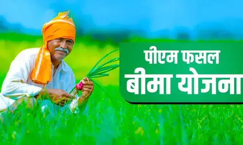 चार वर्ष में बीमा कंपनी ने कमाए 200 करोड़, किसानों को मिले मात्र 16 करोड़ रुपए