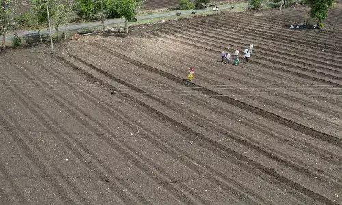 अमरावती संभाग में निपट चुकी 91.3 फीसदी बुआई, सोयाबीन का रकबा बढ़ा