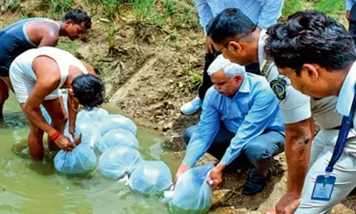 कारागृह परिसर के तालाब में संवर्धन शुरू, अब कैदी करेंगे मत्स्य पालन