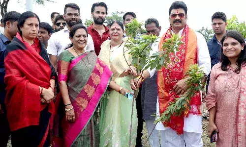 वृक्षों से आच्छादित हो हमारा परिवेश, पौधा लगाएं और संकल्प लें उसकी देखभाल का - मंत्री श्री राजपूत