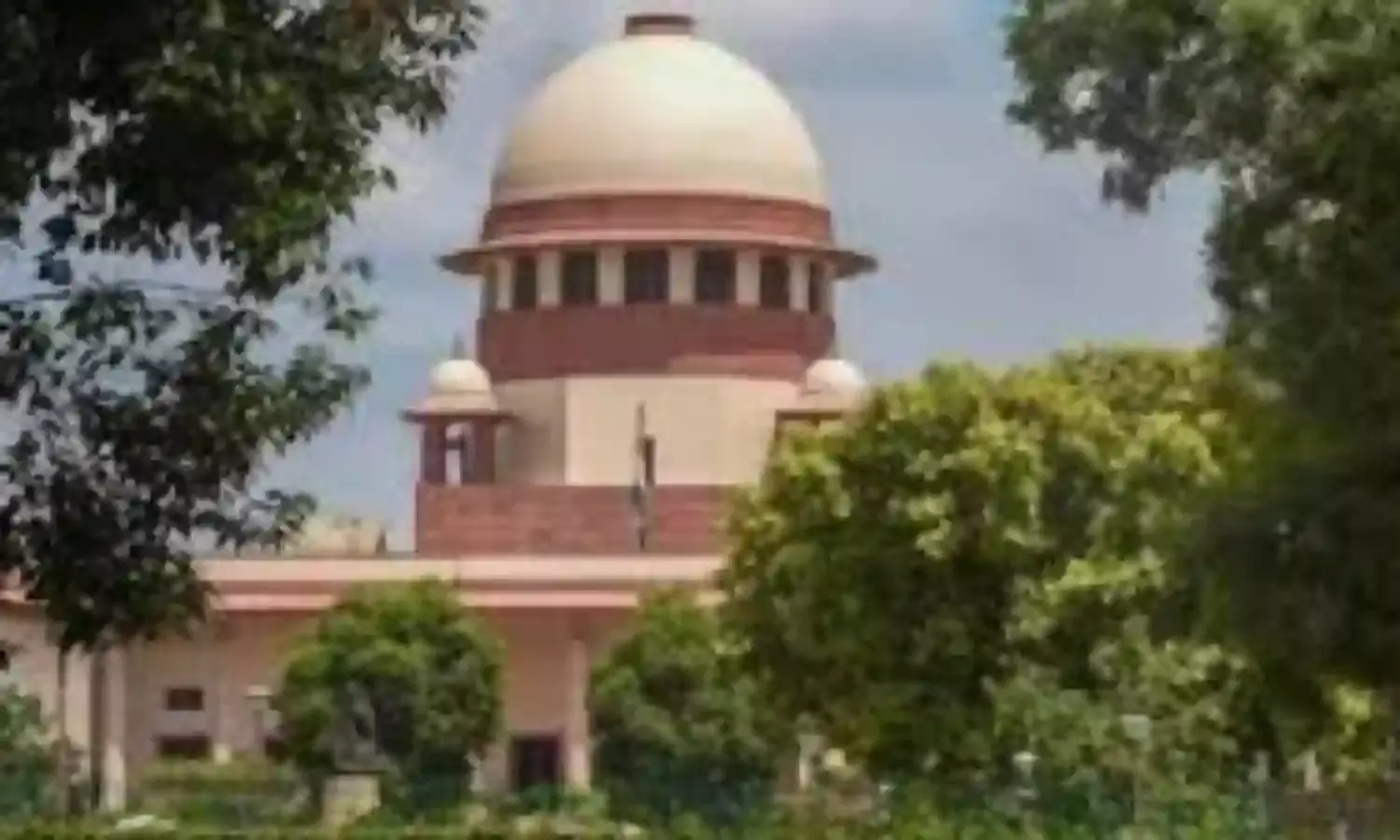 दोषियों की अंतरिम जमानत याचिका खारिज, दूसरी बेंच के आदेश पर अपील की सुनवाई नहीं कर सकते