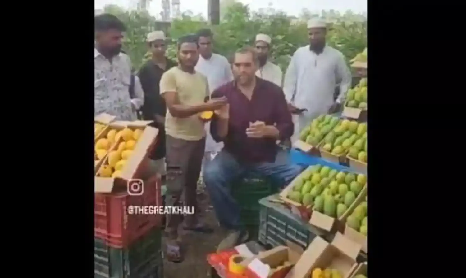 क्या रेसलर द ग्रेट खली ने योग सरकार के कांवड़ यात्रा वाले फैसले का विरोध किया है? जानें वायरल वीडियो की सच्चाई