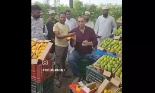 क्या रेसलर द ग्रेट खली ने योग सरकार के कांवड़ यात्रा वाले फैसले का विरोध किया है? जानें वायरल वीडियो की सच्चाई क्या रेसलर द ग्रेट खली ने योग सरकार के कांवड़ यात्रा वाले फैसले का विरोध किया है? जानें वायरल वीडियो की सच्चाई