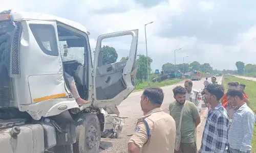 हाइवे पर खड़े वाहन से भिड़ा ट्रक, चालक की मौत, खलासी घायल