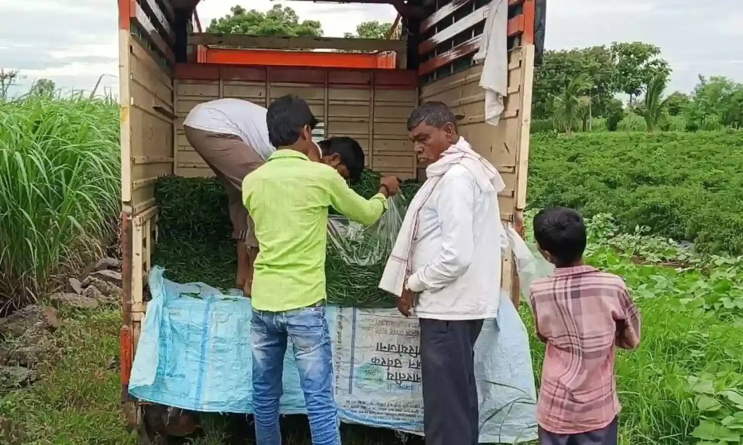 पारंपरिक खेती छोड़ इस युवा किसान ने डेढ़ एकड़ खेत से कमा लिए है लाखों रुपए