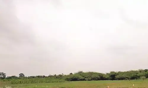 पौधारोपण के नाम पर घपलेबाजी, पौधे रोपे ही नहीं और 55 लाख का बिल कर दिया पास पौधारोपण के नाम पर घपलेबाजी, पौधे रोपे ही नहीं और 55 लाख का बिल कर दिया पास