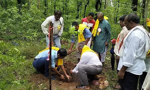 गडचिरोली में बांस की खेती से आदिवासियों का होगा आर्थिक विकास