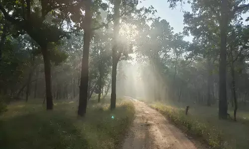 बारिश की दहशत से अब पेंच की बफर सफारी भी बंद , प्रशासन अलर्ट मोड पर