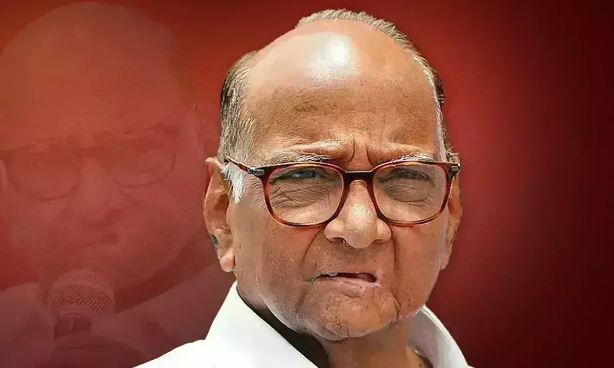 आगामी विधानसभा चुनाव बागियों के खिलाफ युवा उम्मीदवारों को उतारेंगे शरद पवार आगामी विधानसभा चुनाव बागियों के खिलाफ युवा उम्मीदवारों को उतारेंगे शरद पवार