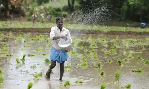 कृषि विभाग सख्त, अमरावती संभाग में बीज-खाद व कीटनाशक विक्रेताओं के 473 लाइसेंस रद्द