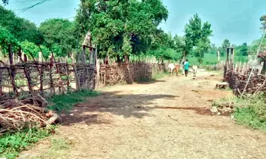 बारिश में गड़चिरोली जिले के  दर्जनों गांव छत्तीसगढ़ राज्य पर रहते हैं निर्भर