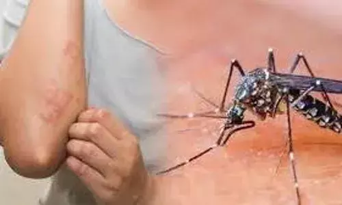 खाली प्लॉट वाले अब हो जाएं सावधान, बढ़ रहा डेंगू-चिकनगुनिया का प्रकोप, कड़ी कार्रवाई के मूड में है मनपा