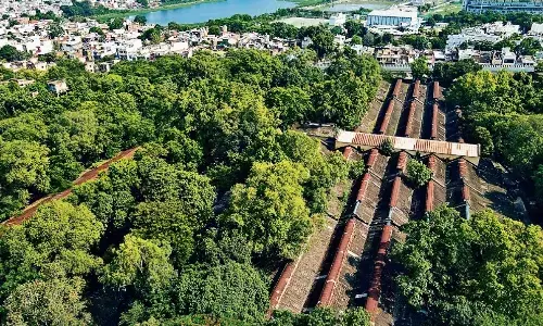 केवल 20 मिनट के सर्वे में सामने आईं पक्षियों की 10 प्रजातियाँ केवल 20 मिनट के सर्वे में सामने आईं पक्षियों की 10 प्रजातियाँ