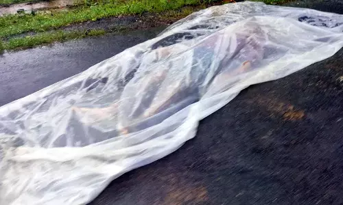 सी-60 दल की कार्रवाई से बौखलाए नक्सलियों ने आत्मसमर्पित की कर दी हत्या सी-60 दल की कार्रवाई से बौखलाए नक्सलियों ने आत्मसमर्पित की कर दी हत्या