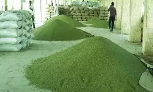 300 रुपए दो घटियां मूंग भी बेच दो, नहीं देने पर बढ़ रहे विवाद