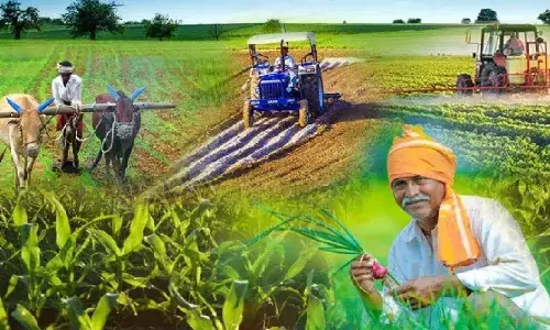 2023-24 में 49 बिलियन अमरीकी डॉलर मूल्य के कृषि उत्पादों का हुआ निर्यात, ओएनडीसी का भी इंटरऑपरेबल क्यूआर कोड लॉन्च