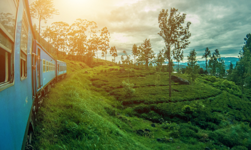 सरल और सुविधाजनक प्रक्रिया