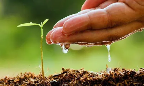 मुख्यमंत्री मोहन यादव बिजली कंपनी मुख्यालय गोविंदपुरा में करेंगे पौध-रोपण, एक पेड़ मां के नाम अभियान में बिजली कंपनी परिसरों में लगाए जाएंगे एक लाख पौधे