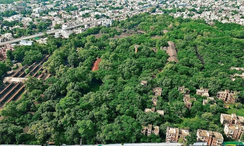 सही आकलन हो तो ईकोलॉजी पार्क का रास्ता खुलेगा सही आकलन हो तो ईकोलॉजी पार्क का रास्ता खुलेगा