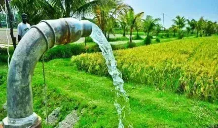 90 हजार से अधिक किसानों को मुफ्त बिजली का लाभ, 7.5 एचपी के पंपों का बिल माफ 90 हजार से अधिक किसानों को मुफ्त बिजली का लाभ, 7.5 एचपी के पंपों का बिल माफ