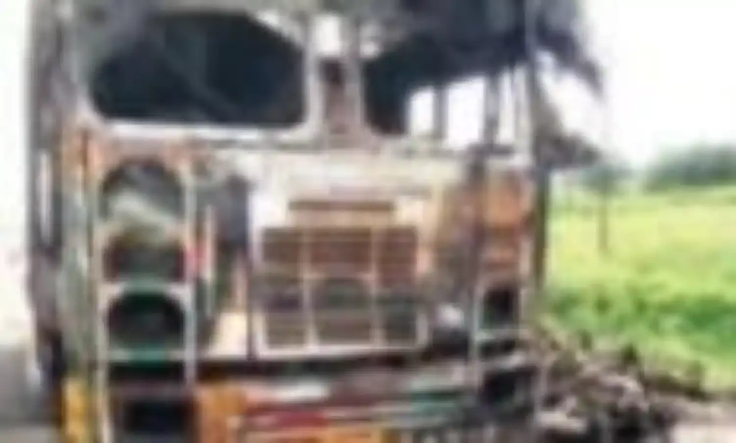 सड़क पर तेज रफ्तर ट्रक में अचानक लगी आग, जिन्दा भुन गई 35 भेड़ें, मचा हड़कंप