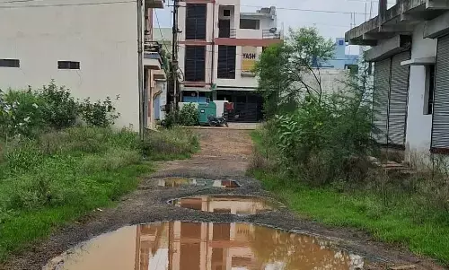 नाम की पॉश कॉलोनी, सड़कें बनी दलदल, बारिश से खुली कॉलोनी में सुविधाओं की पोल नाम की पॉश कॉलोनी, सड़कें बनी दलदल, बारिश से खुली कॉलोनी में सुविधाओं की पोल