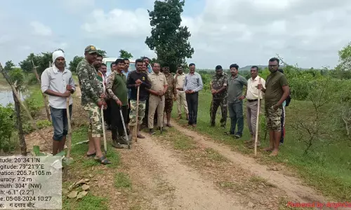 चार लोगों पर हमला करने वाले नरभक्षी बाघ की ड्राेन से की जा रही तलाश