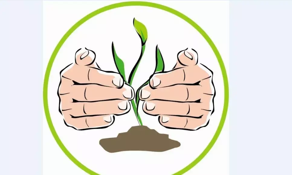 एक लाख पौधे लगाएँगी बिजली कंपनियाँ