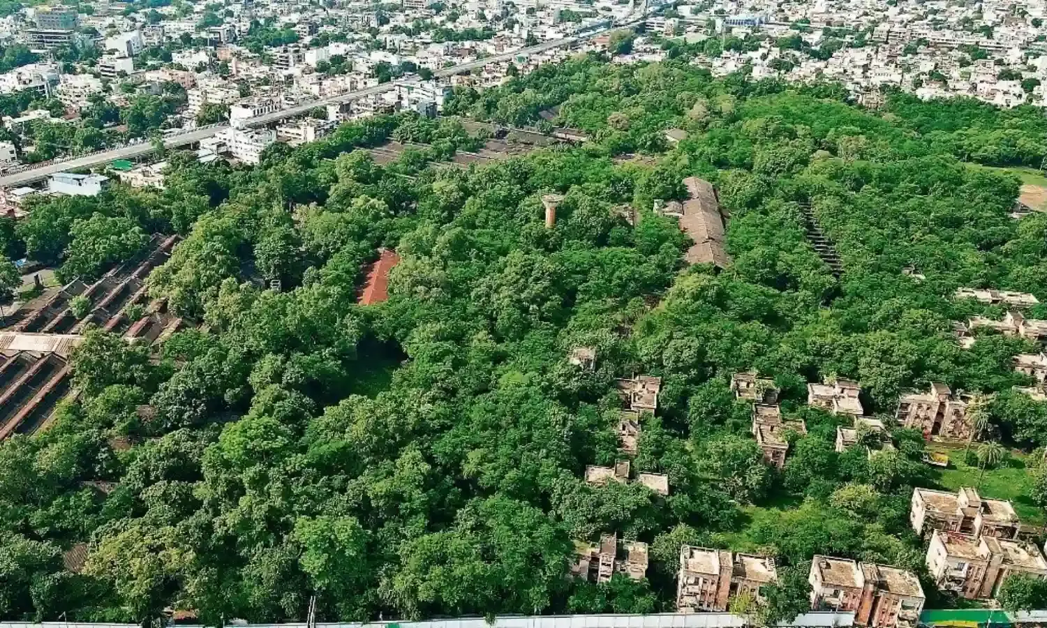 जबलपुर और इंदौर में सिटी फाॅरेस्ट बनाने की तैयारी तेज