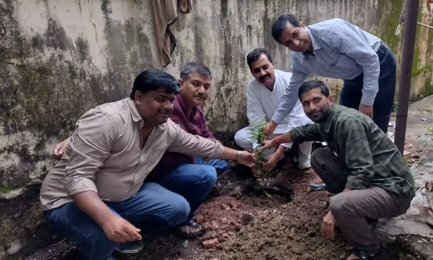 पावर हाउस परिसर में किया गया वृक्षारोपण पावर हाउस परिसर में किया गया वृक्षारोपण