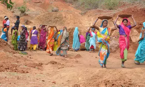 अमरावती संभाग में मनरेगा की 166 करोड़ मजदूरी बकाया, मजदूरों पर भुखमरी की नौबत अमरावती संभाग में मनरेगा की 166 करोड़ मजदूरी बकाया, मजदूरों पर भुखमरी की नौबत