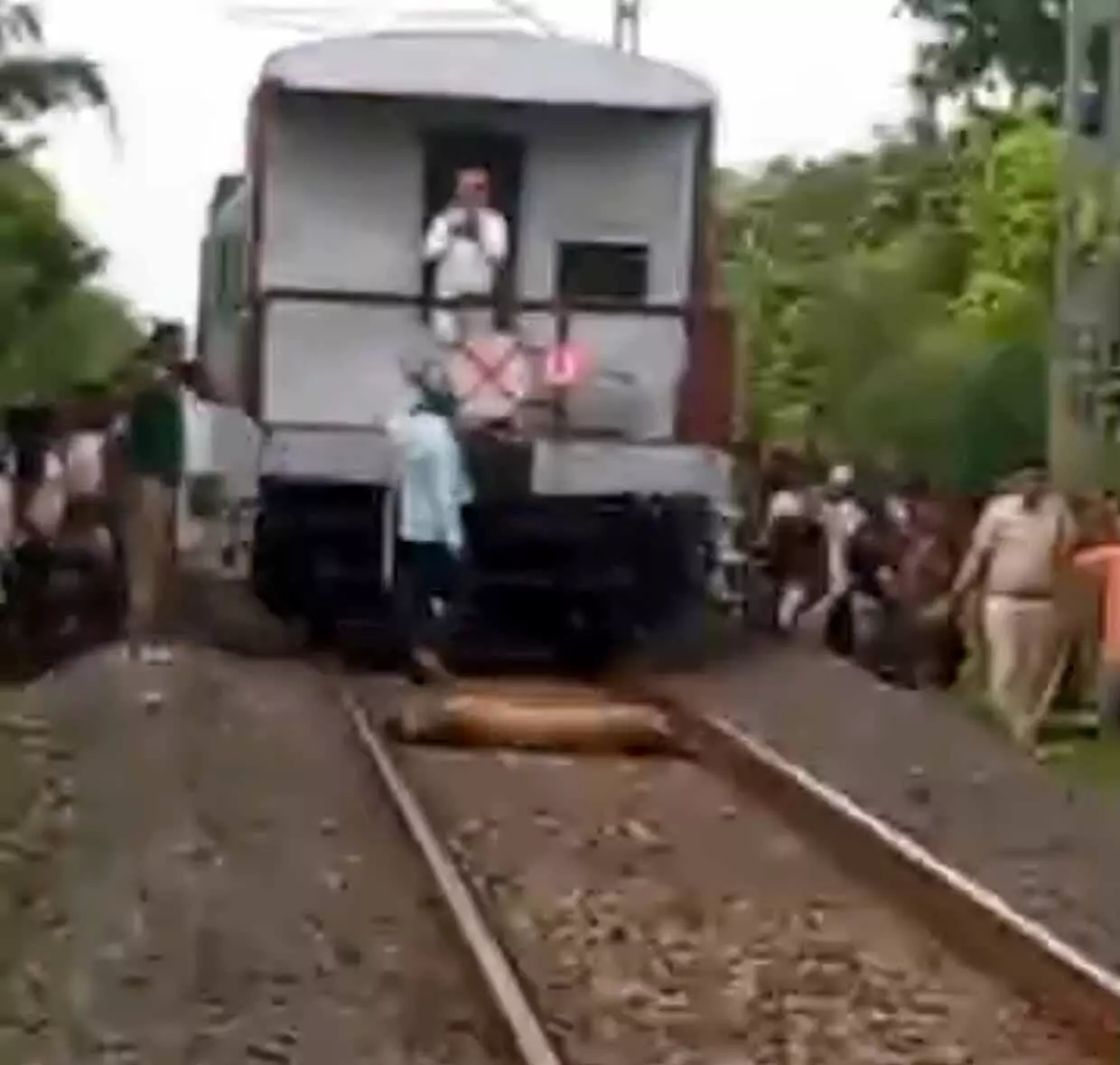 ट्रेन की टक्कर से बाघिन की मौत , अपने आप बंद हुआ रेलगाड़ी का इंजन ट्रेन की टक्कर से बाघिन की मौत , अपने आप बंद हुआ रेलगाड़ी का इंजन
