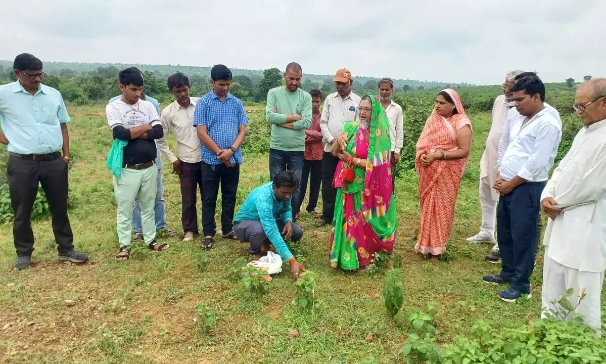 १ करोड ५९ लाख की लागत से तैयार होगी प्राथमिक स्वास्थ्य केन्द्र की नवीन बिल्डिंग १ करोड ५९ लाख की लागत से तैयार होगी प्राथमिक स्वास्थ्य केन्द्र की नवीन बिल्डिंग