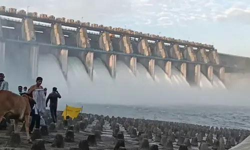 निरंतर वर्षा से जलभंडारण तेजी से बढ़ने लगा, खोले गए अपर वर्धा के 11 गेट निरंतर वर्षा से जलभंडारण तेजी से बढ़ने लगा, खोले गए अपर वर्धा के 11 गेट