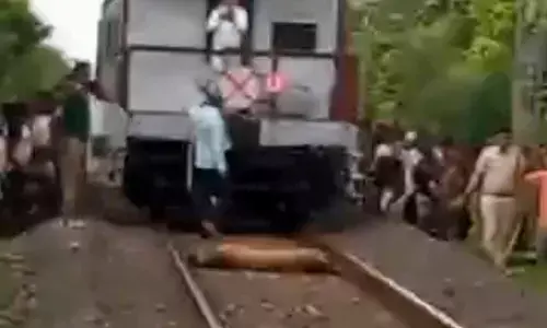 ट्रेन की टक्कर से बाघिन की मौत , अपने आप बंद हुआ रेलगाड़ी का इंजन