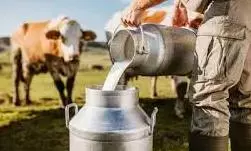 विदर्भ और मराठवाड़ा के 19 जिलों में दुग्धविकास परियोजना - 2 होगी लागू