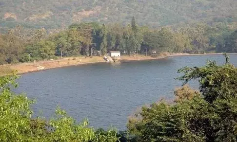 मुंब्रा में तालाब की भूमि पर अवैध कंस्ट्रक्शन को लेकर टीएमसी और सरकार को जारी नोटिस