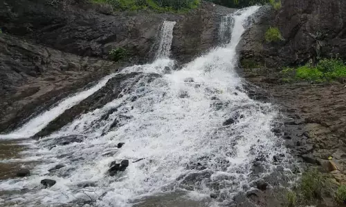 झरने में गिरा युवक जान से हाथ धो बैठा, धारखाेरा परिसर में हुआ हादसा झरने में गिरा युवक जान से हाथ धो बैठा, धारखाेरा परिसर में हुआ हादसा