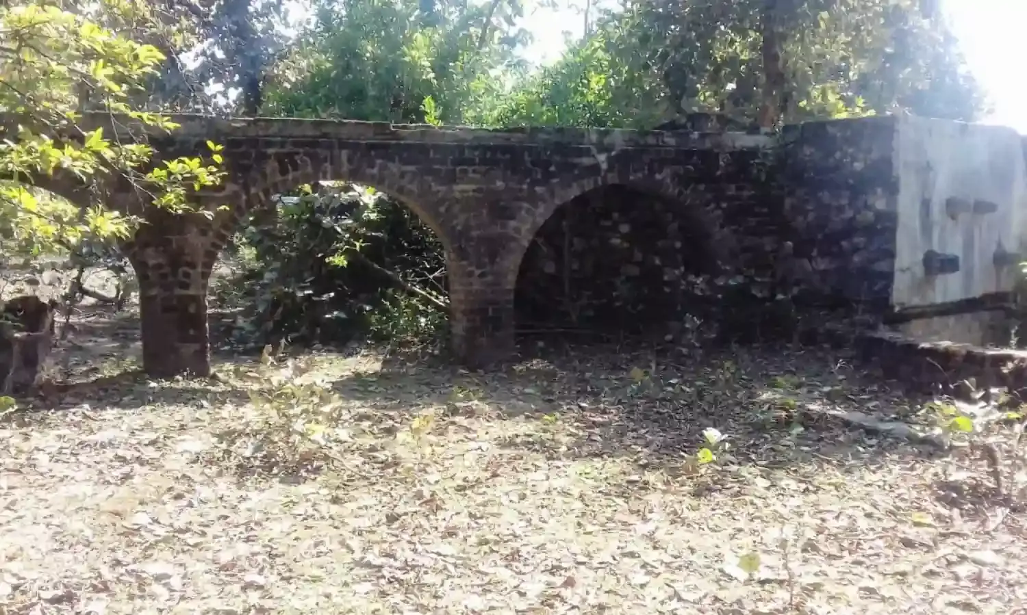रामाकोना के निकट लाखनवाड़ी में हुआ था जंगल सत्याग्रह