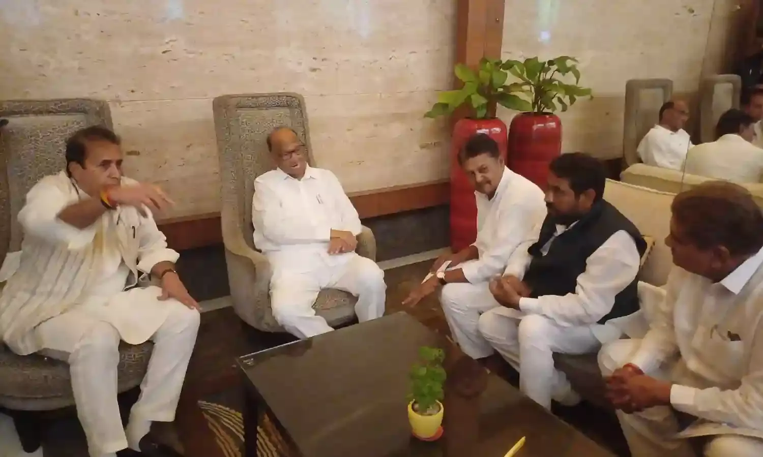 कार्यकर्ताओं से वन टू वन मिले पवार, विधानसभा चुनाव की तैयारी की ली जानकारी