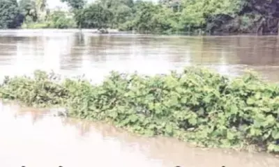 मूसलाधार बारिश से नदी-नाले उफान पर, बाढ़ का पानी खेतों में घुसने से फसल बर्बाद मूसलाधार बारिश से नदी-नाले उफान पर, बाढ़ का पानी खेतों में घुसने से फसल बर्बाद